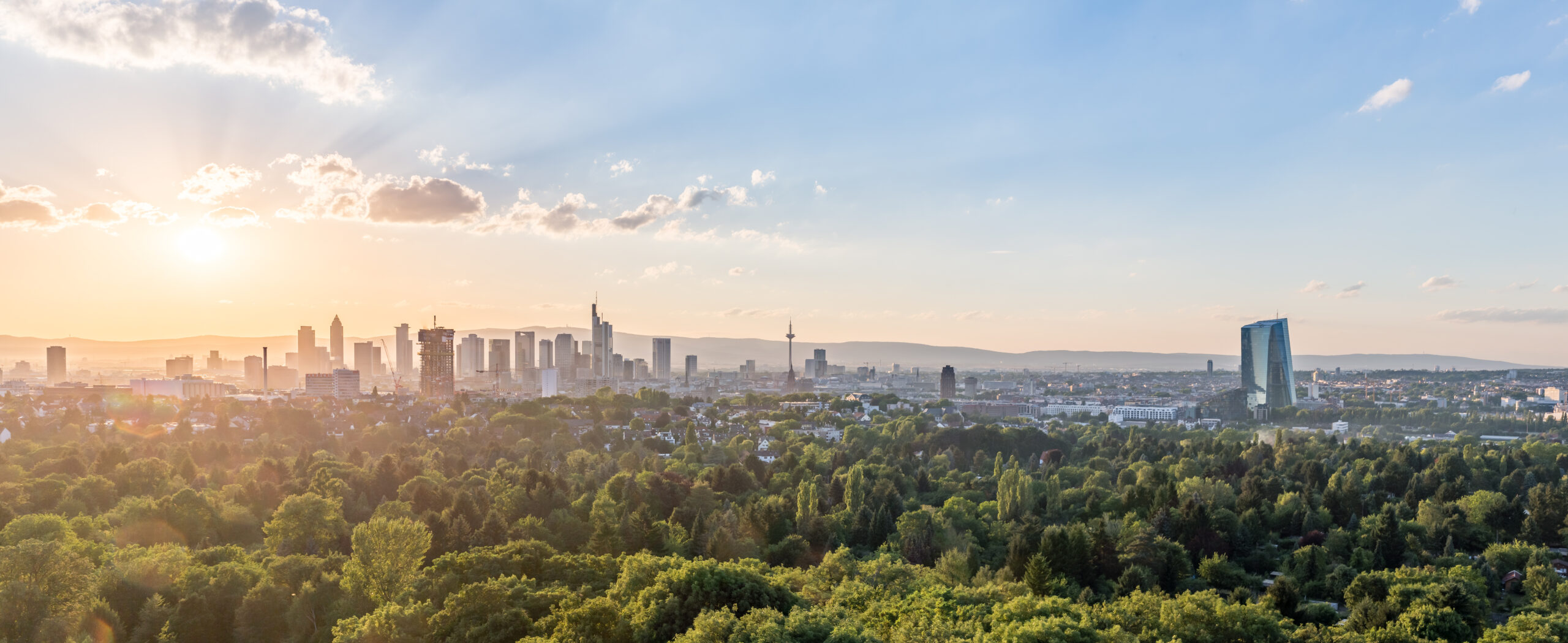 Frankfurt Skyline